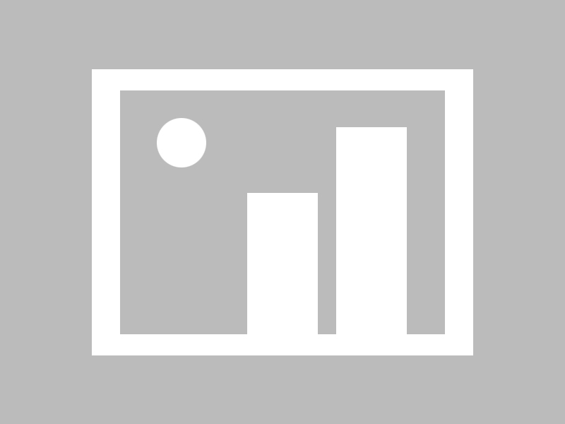 探索IOST币的最新价格与发行价值